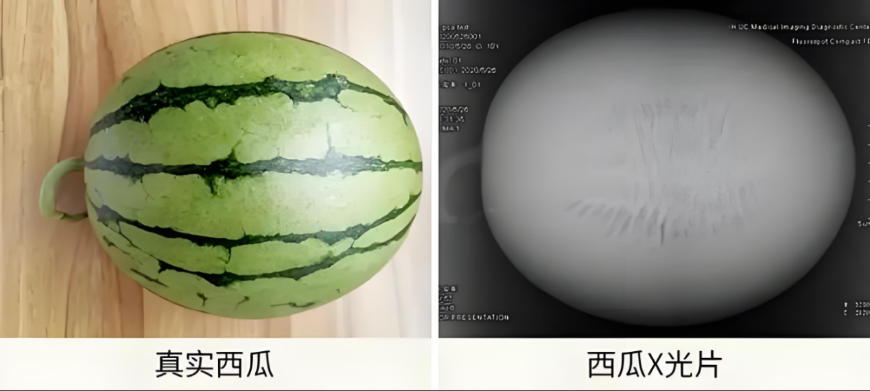202503250828323844.Png